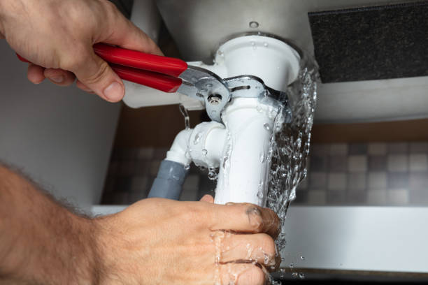 Best Mold removal after water damage  in North Merritt Island, FL