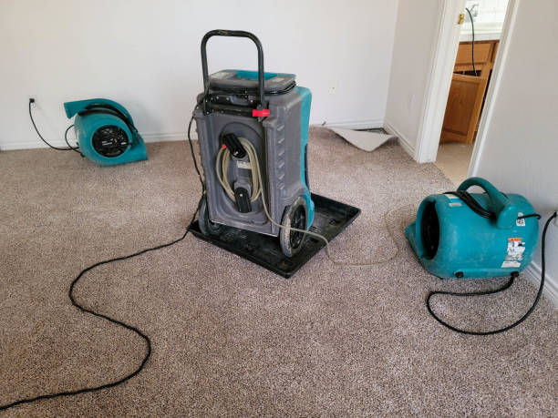 Best Carpet water damage restoration  in North Merritt Island, FL