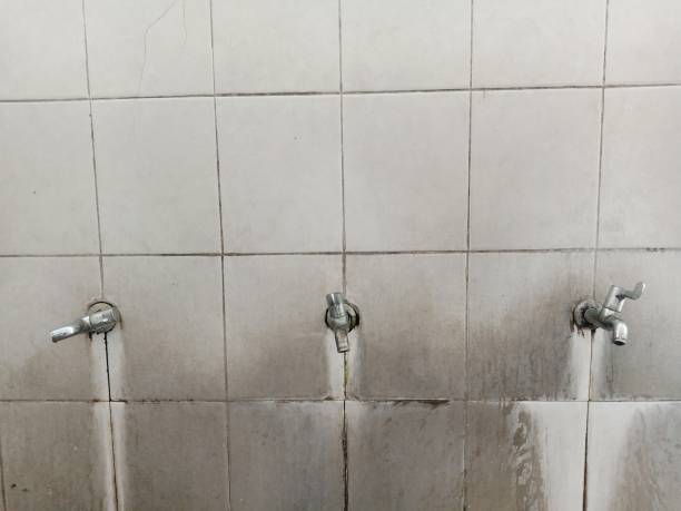 Best Sewage cleanup and water damage restoration  in North Merritt Island, FL